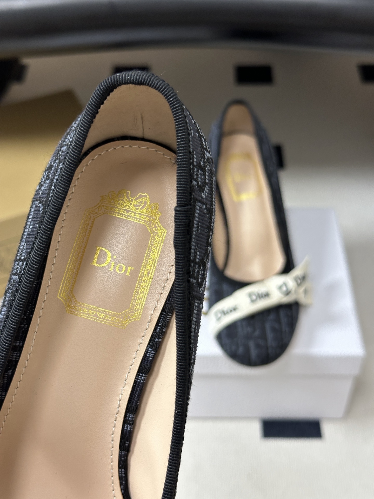 26ss春夏新款Dior 迪奥 J'Adior 高跟鞋经典字母织带玛丽珍鞋蝴蝶结芭蕾舞鞋浅口粗跟单鞋 这款J'Adior 26ss春夏新款Dior 迪奥 J'Adior 高跟鞋经典字母织带玛丽珍鞋蝴蝶结芭蕾舞鞋浅口粗跟单鞋 这款J'Adior