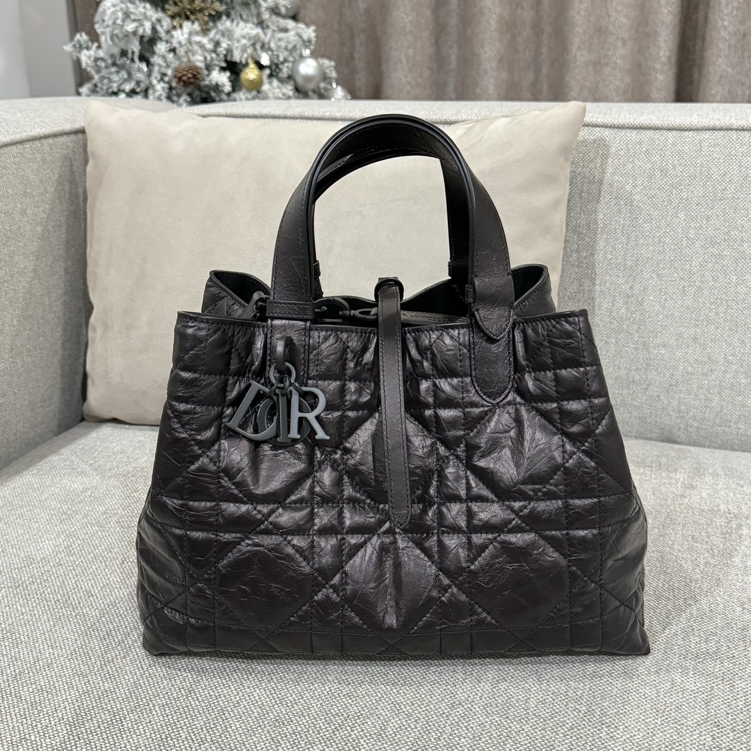 디올 투주르 가방 Dior