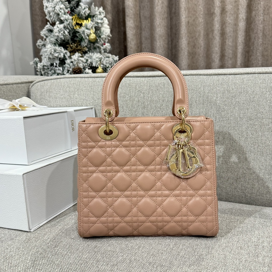 디올 가방 Dior