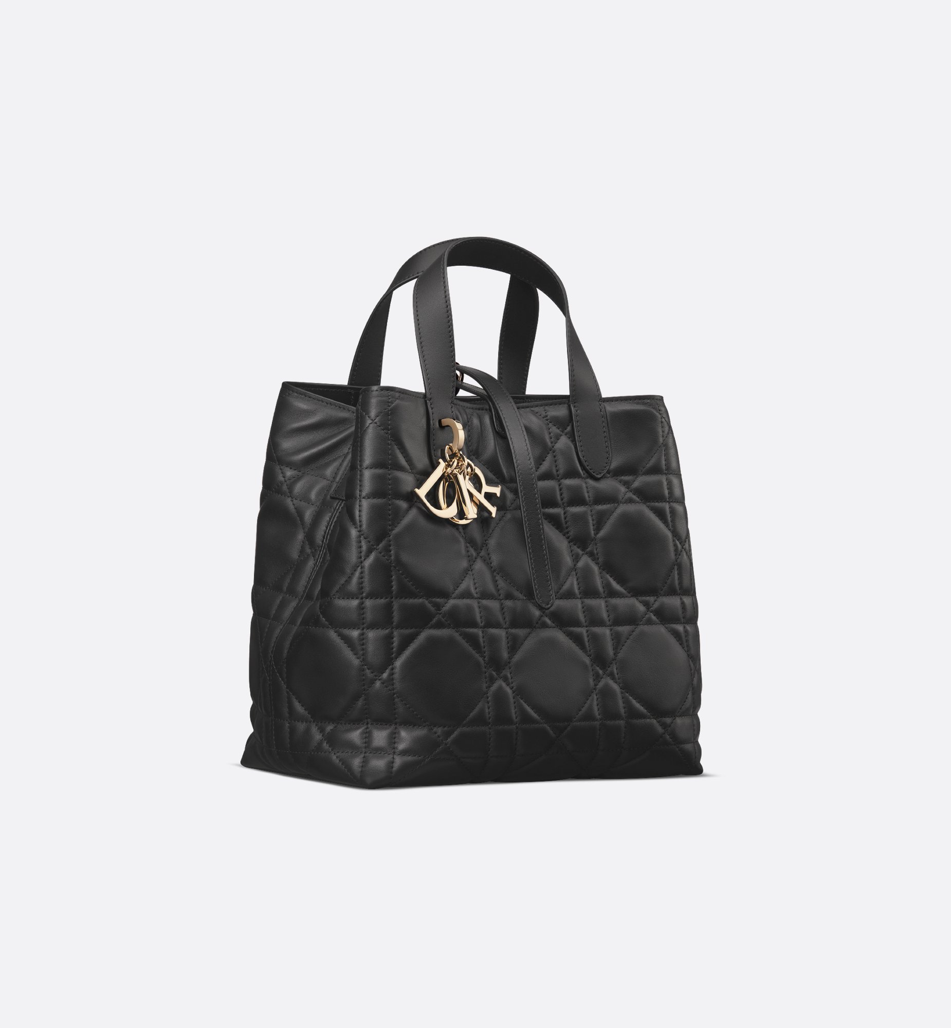 디올 가방 Dior