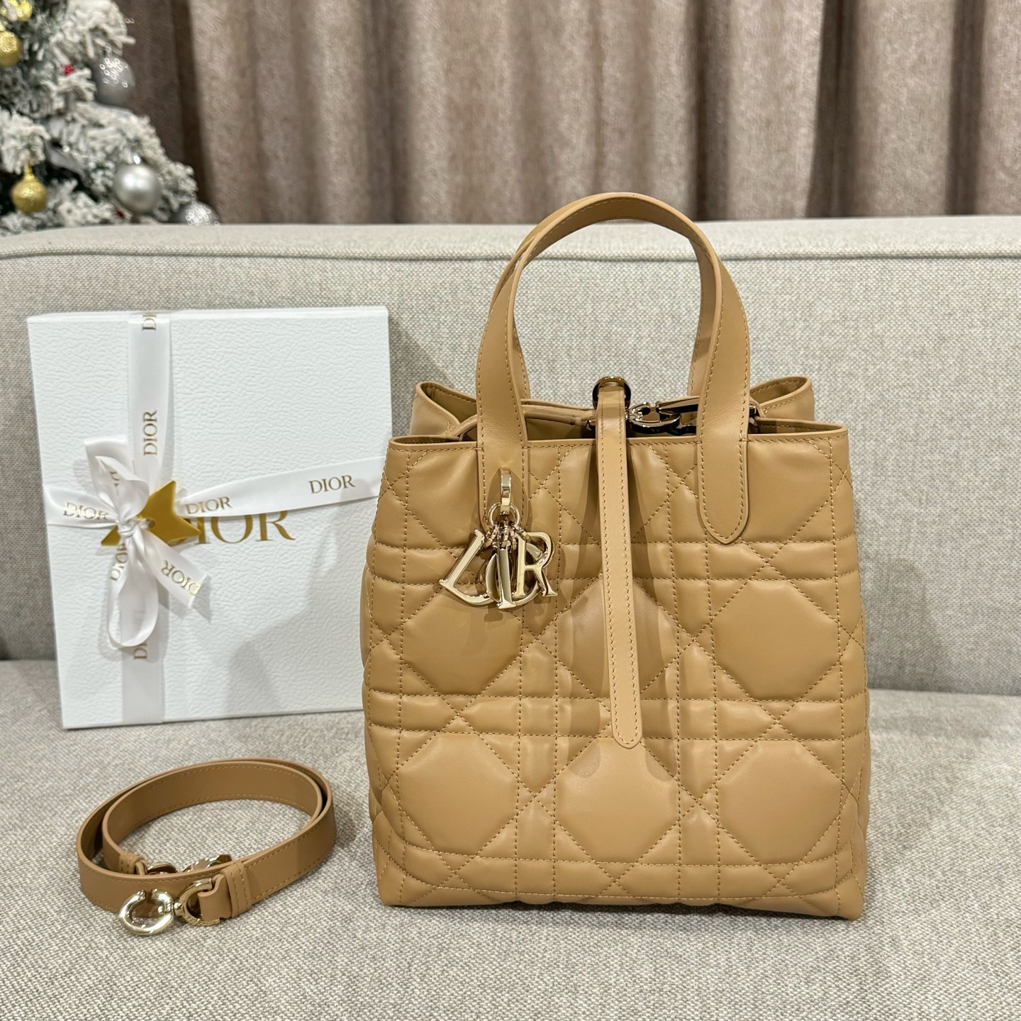 디올 가방 Dior
