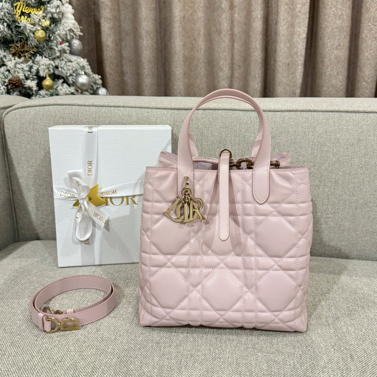 디올 가방 Dior