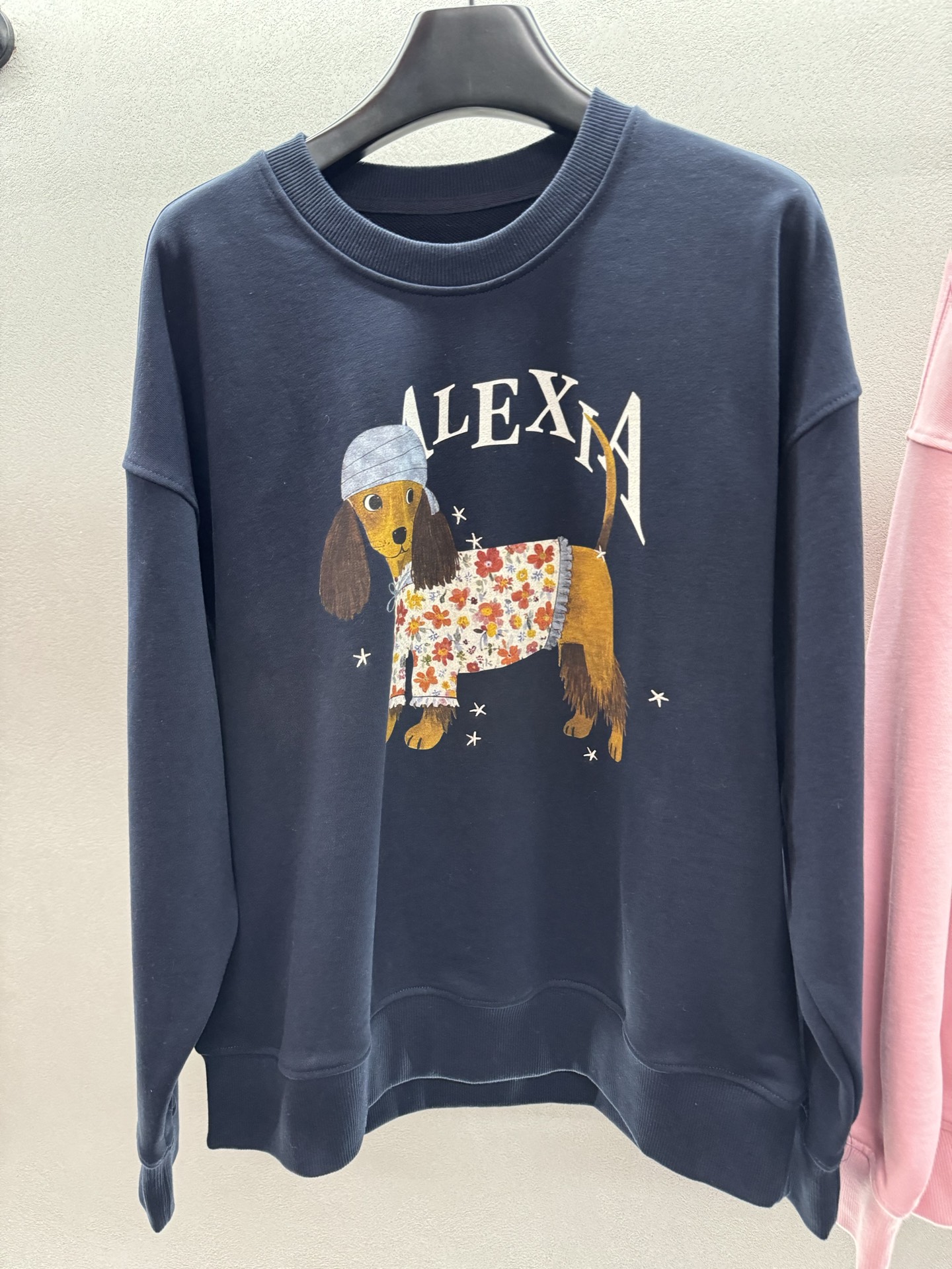 ￼ ❄️2025 Autumn and Winter❄️！Alexia Sand*ra，刺绣星星小狗印花