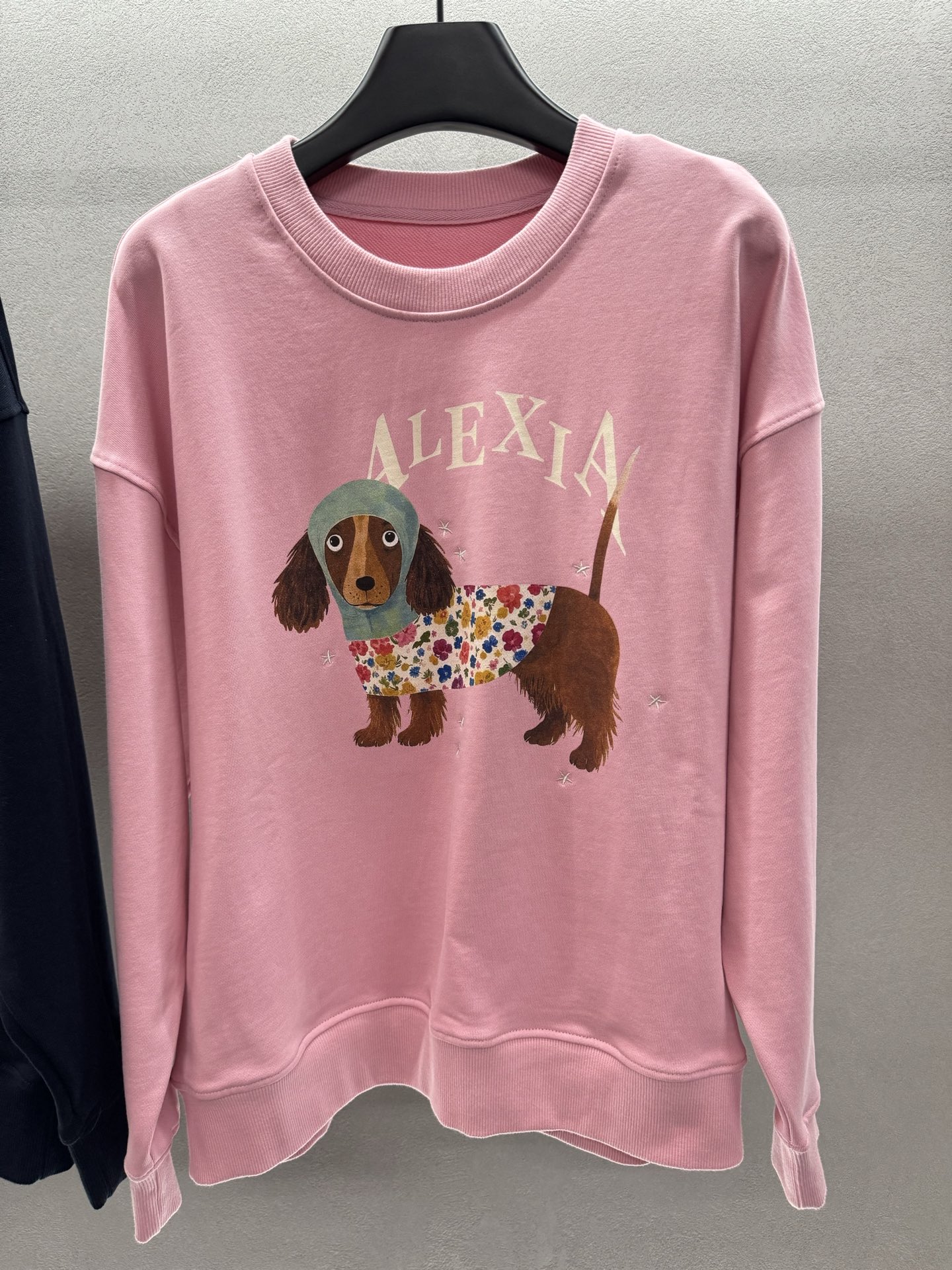 ￼ ❄️2025 Autumn and Winter❄️！Alexia Sand*ra，刺绣星星小狗印花