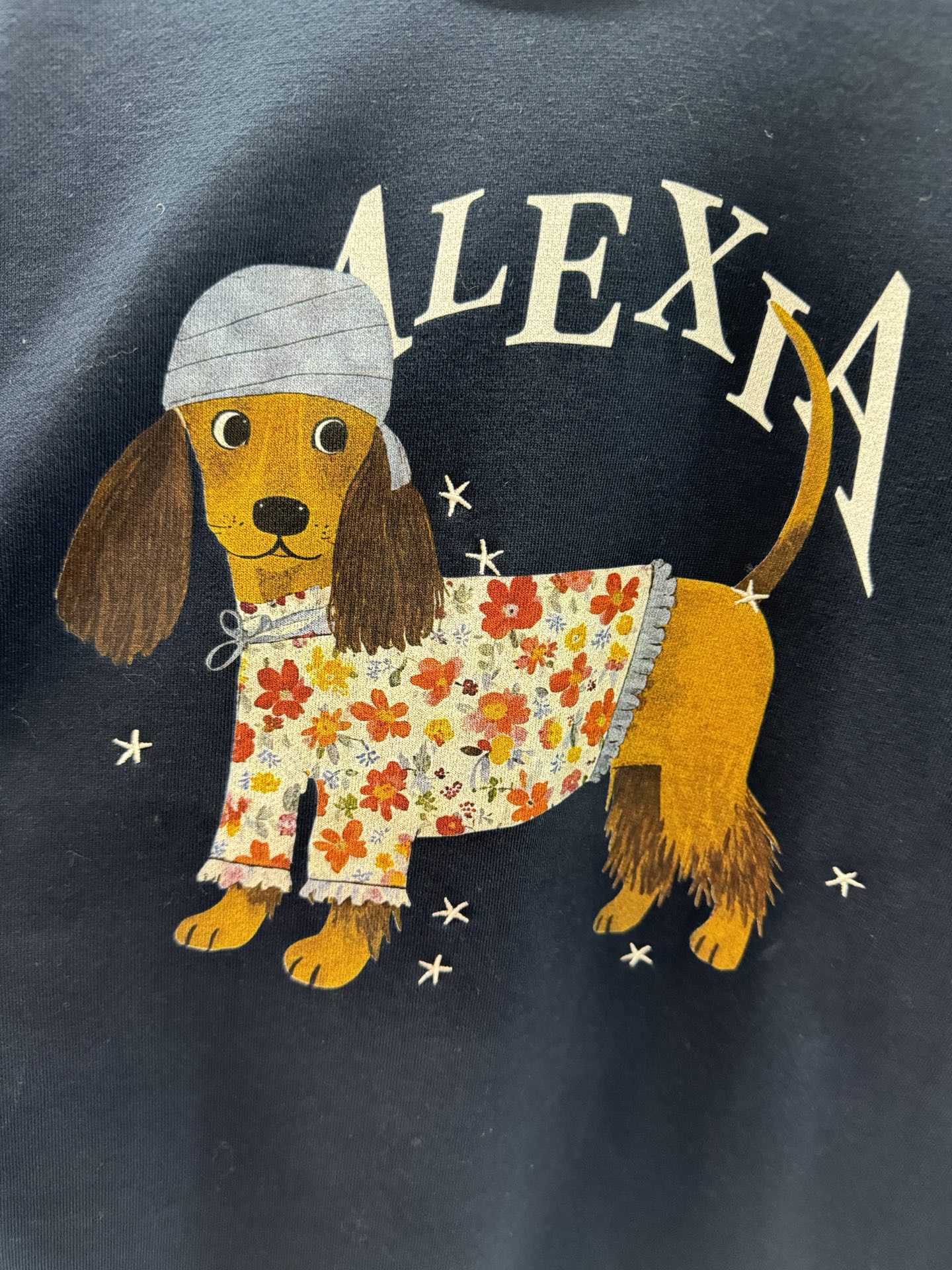 ￼ ❄️2025 Autumn and Winter❄️！Alexia Sand*ra，刺绣星星小狗印花
