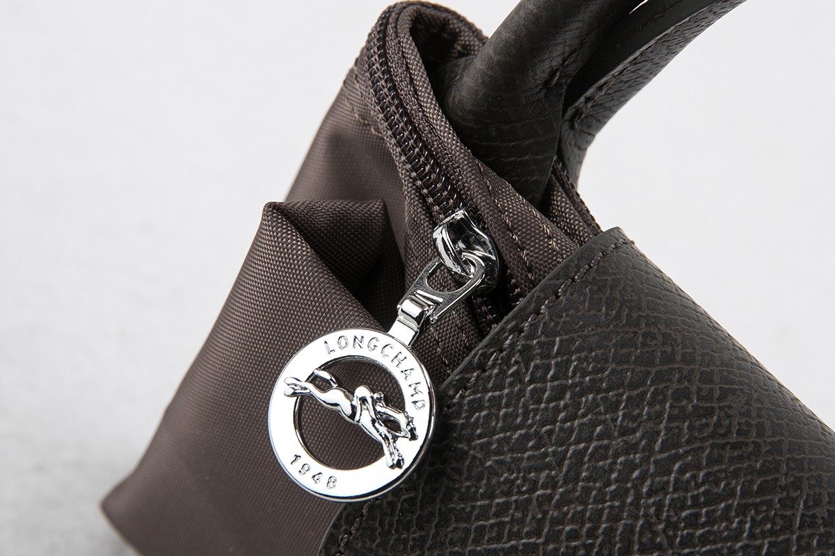 Longchamp 小号813#大地色