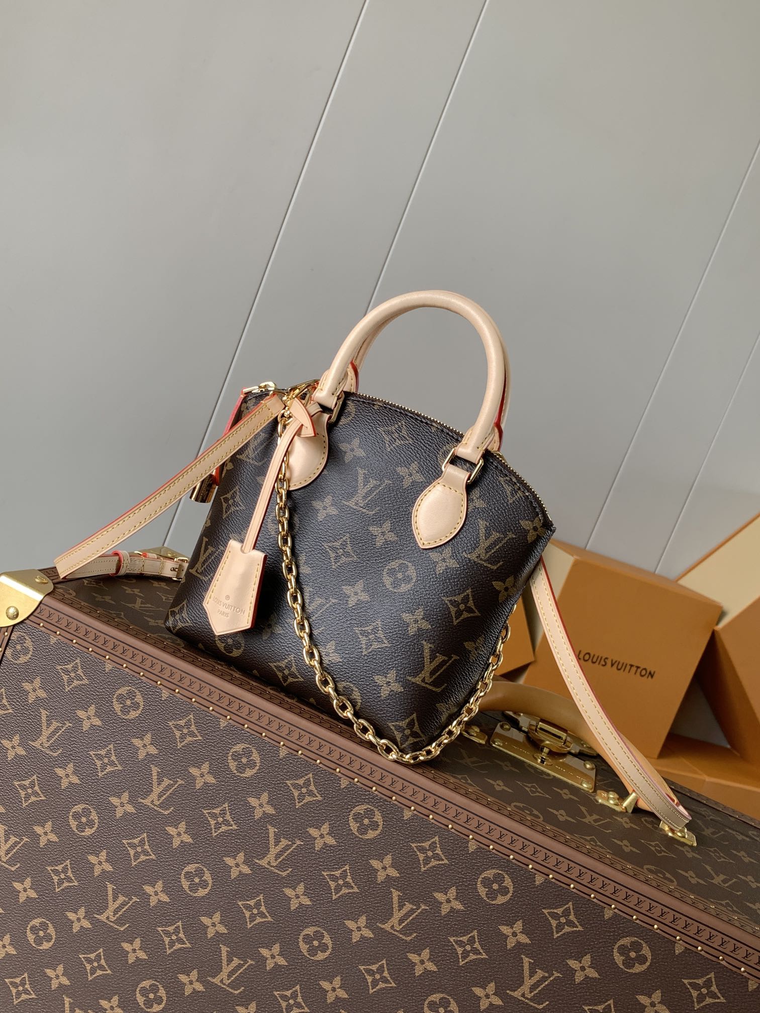 Louis Vuitton Tassen handtassen Monogram Canvas Koeienhuid Kettingen M12019