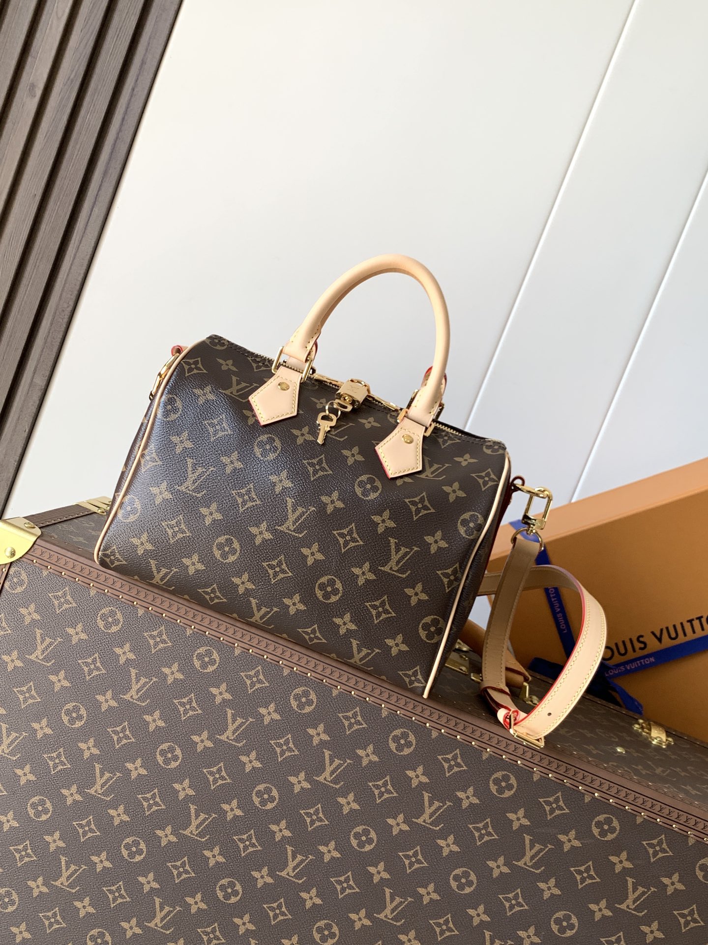 Louis Vuitton Speedy Bandoulière 25 Monogram Canvas Handbag,19 x 15 x 25 cm