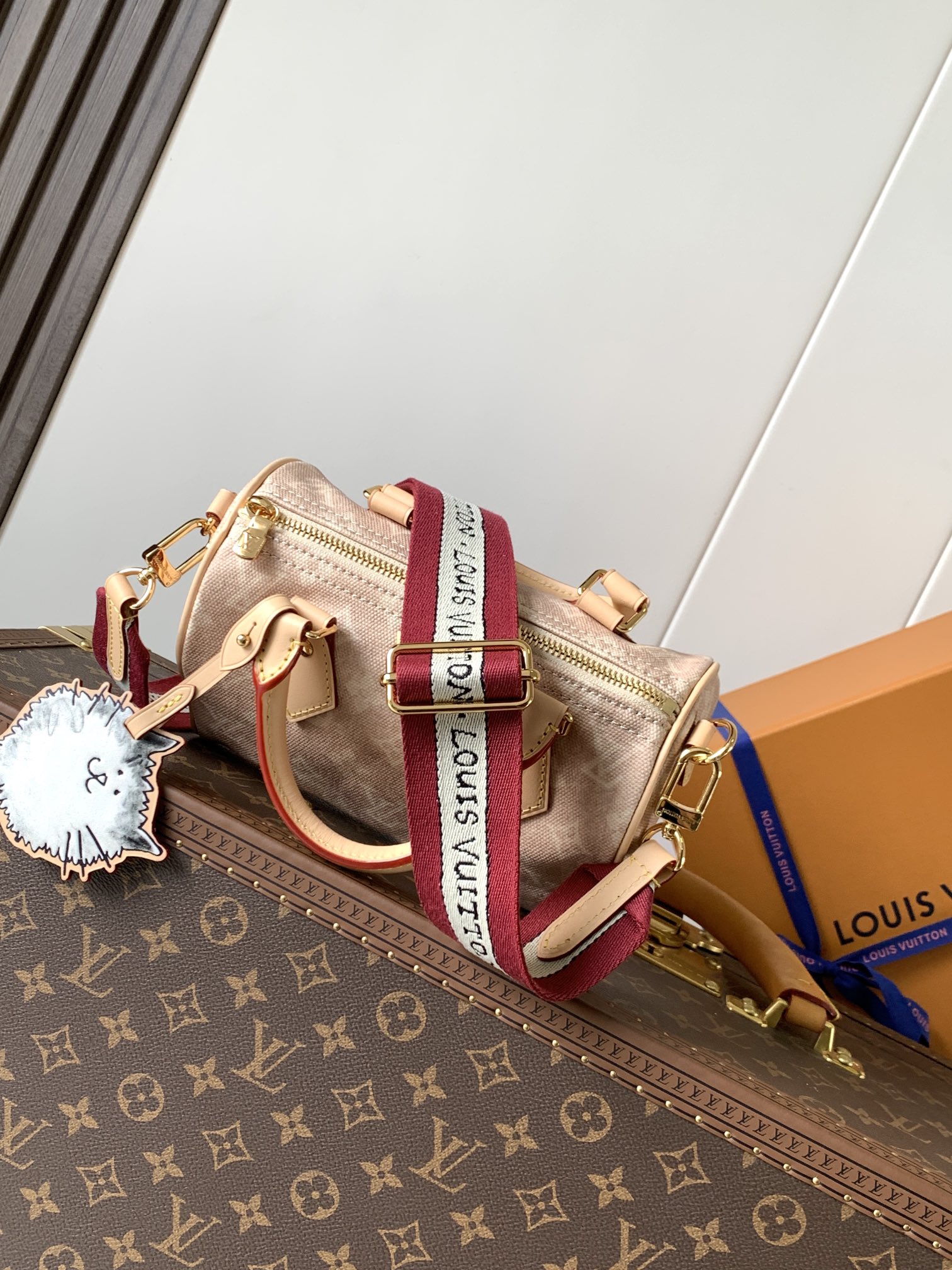 顶级原单，变码芯片M15151本款 Speedy 20 Bandoulière 手袋取材 Meowgra