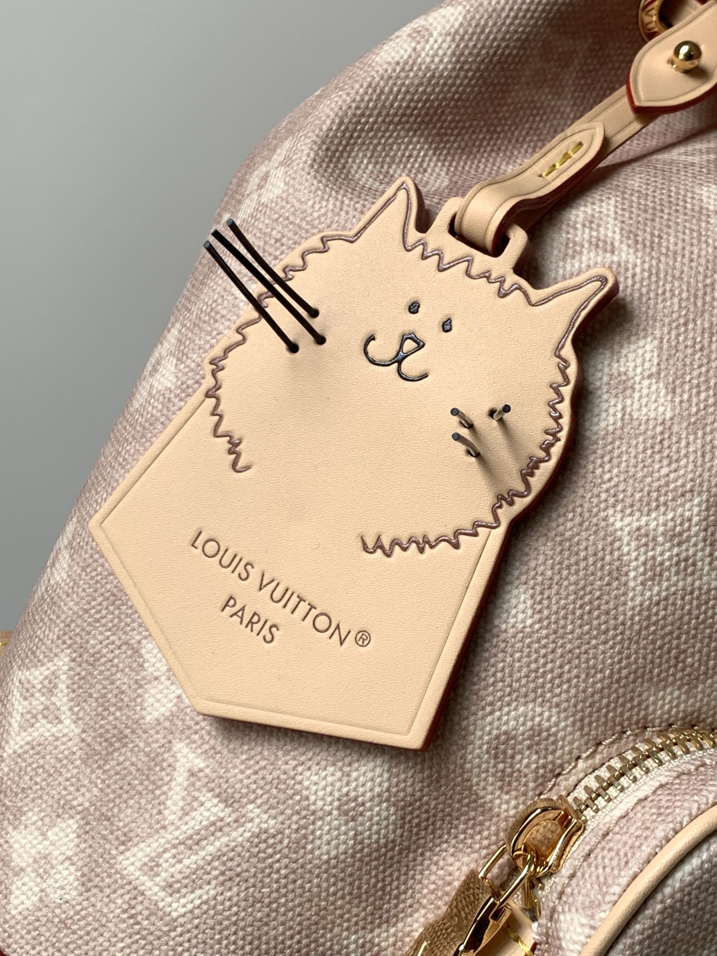 Louis Vuitton 本款 Montsouris 小号双肩包出自 LV Travels With 系列