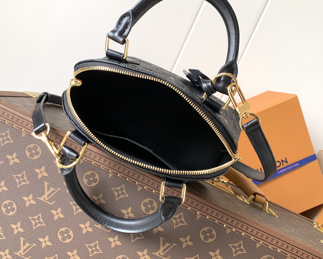 Louis Vuitton 变码芯片M26409