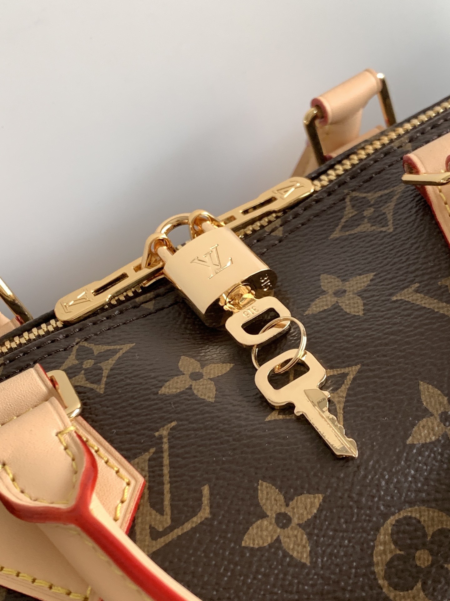 Louis Vuitton 变码芯片M46980