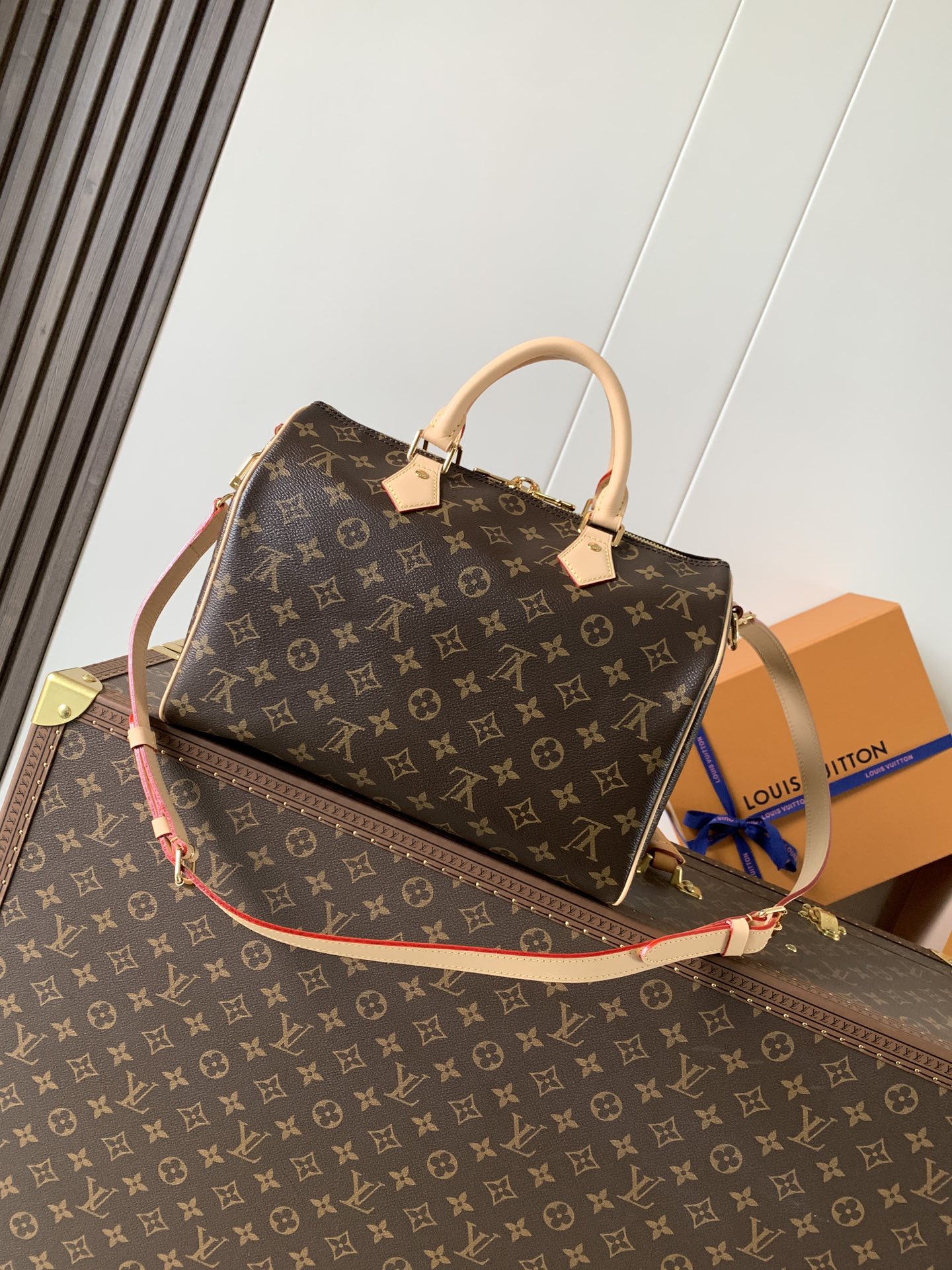 Louis Vuitton 变码芯片M46980