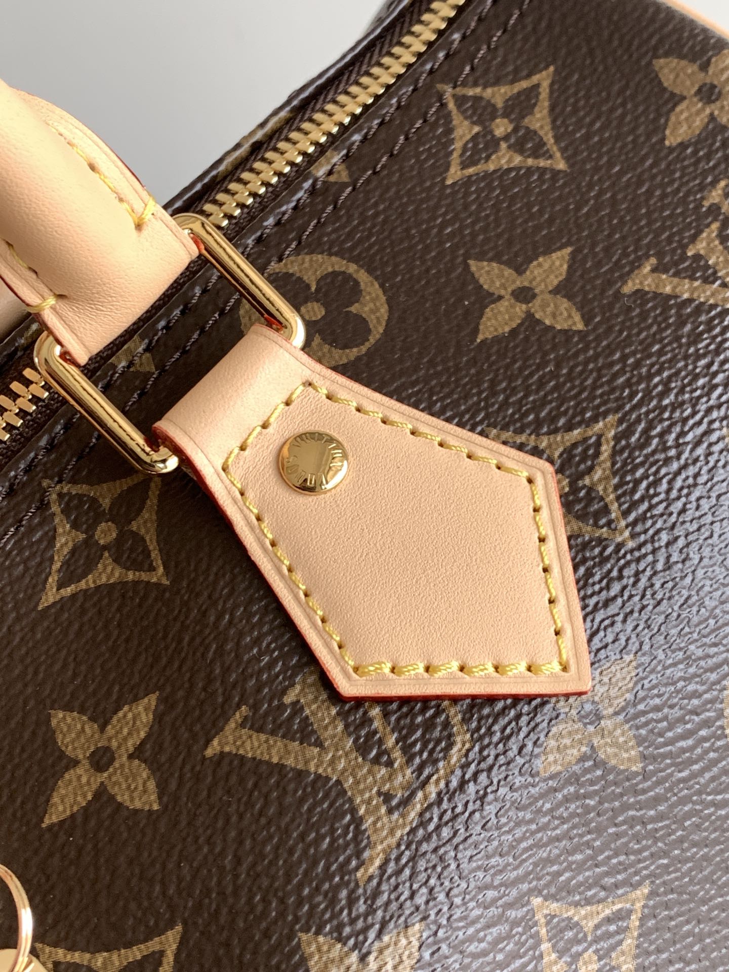 Louis Vuitton 变码芯片M46980