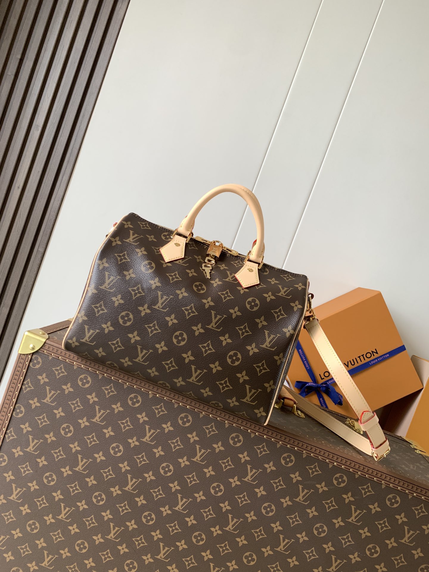 Louis Vuitton 变码芯片M46980