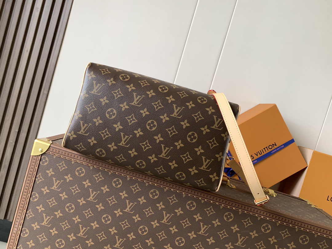 Louis Vuitton 变码芯片M46980