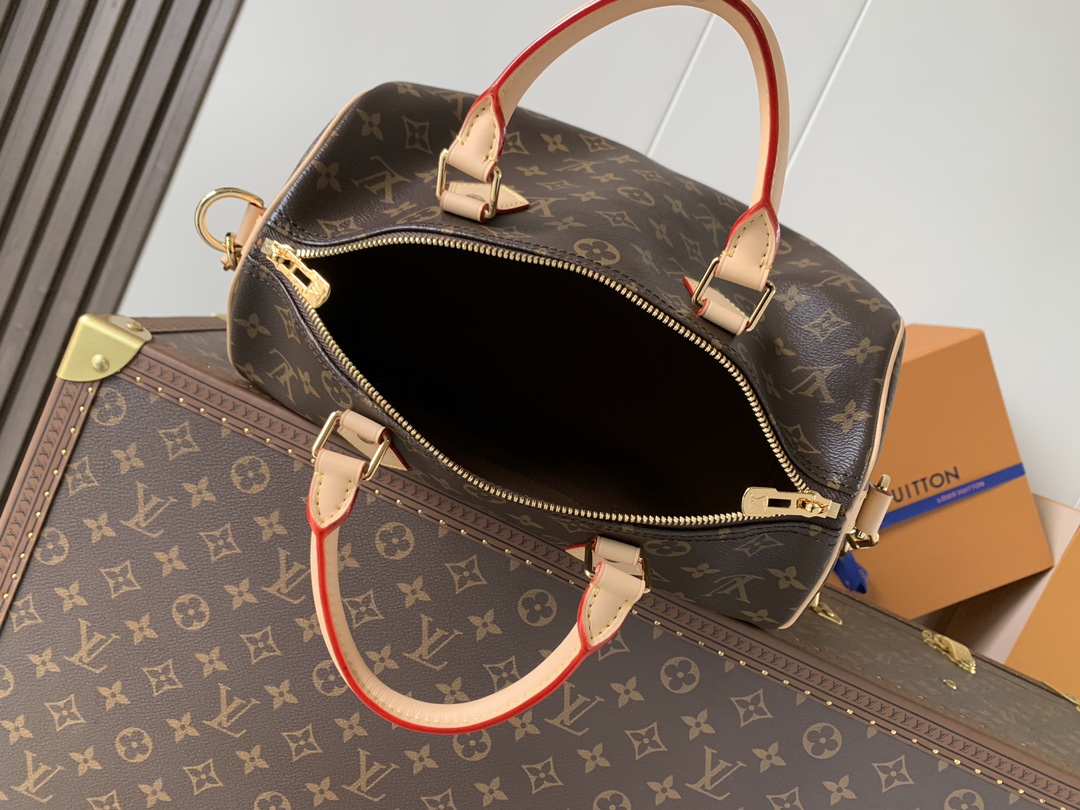 Louis Vuitton 变码芯片M46980