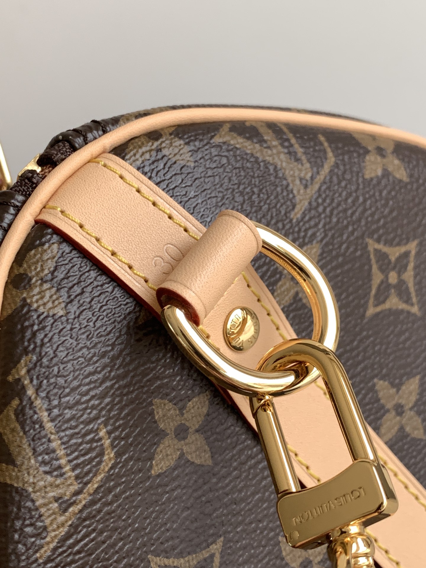 Louis Vuitton 变码芯片M46980