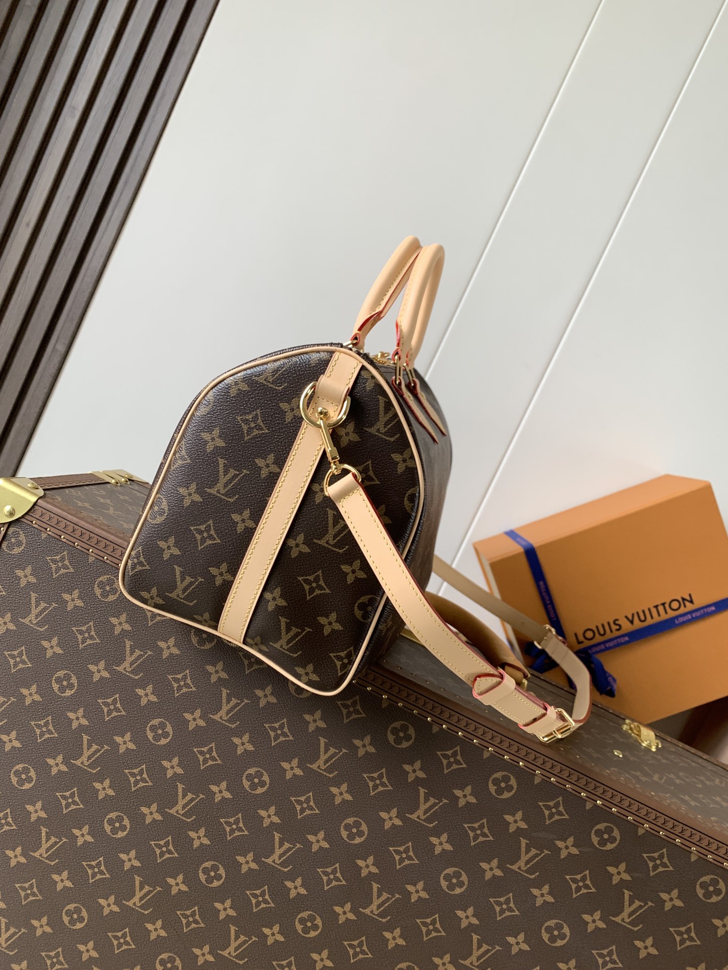 Louis Vuitton 变码芯片M46980