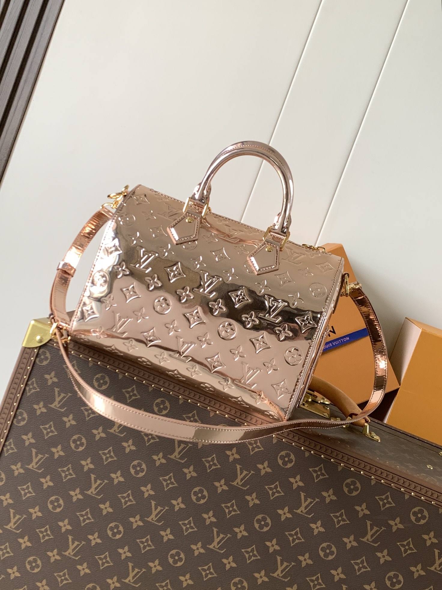 Louis Vuitton 变码芯片M26497