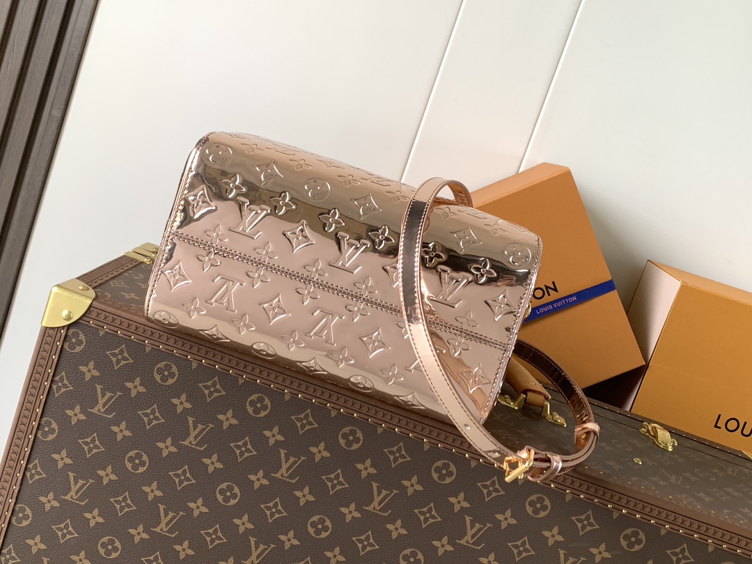 Louis Vuitton 变码芯片M26497