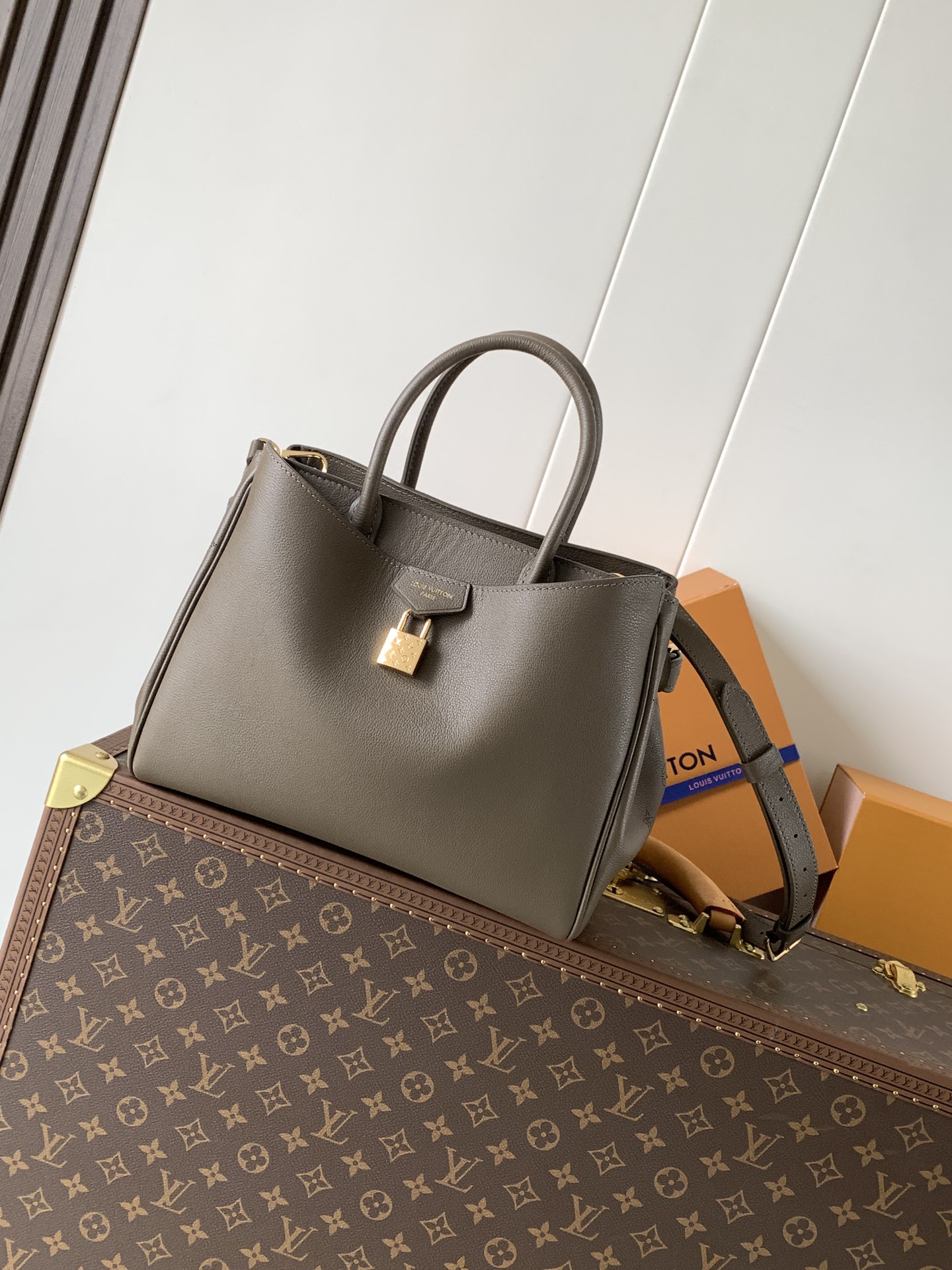 Louis Vuitton 小号 ，变码芯片