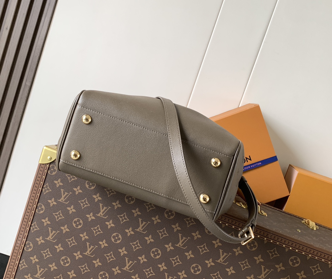 Louis Vuitton 小号 ，变码芯片