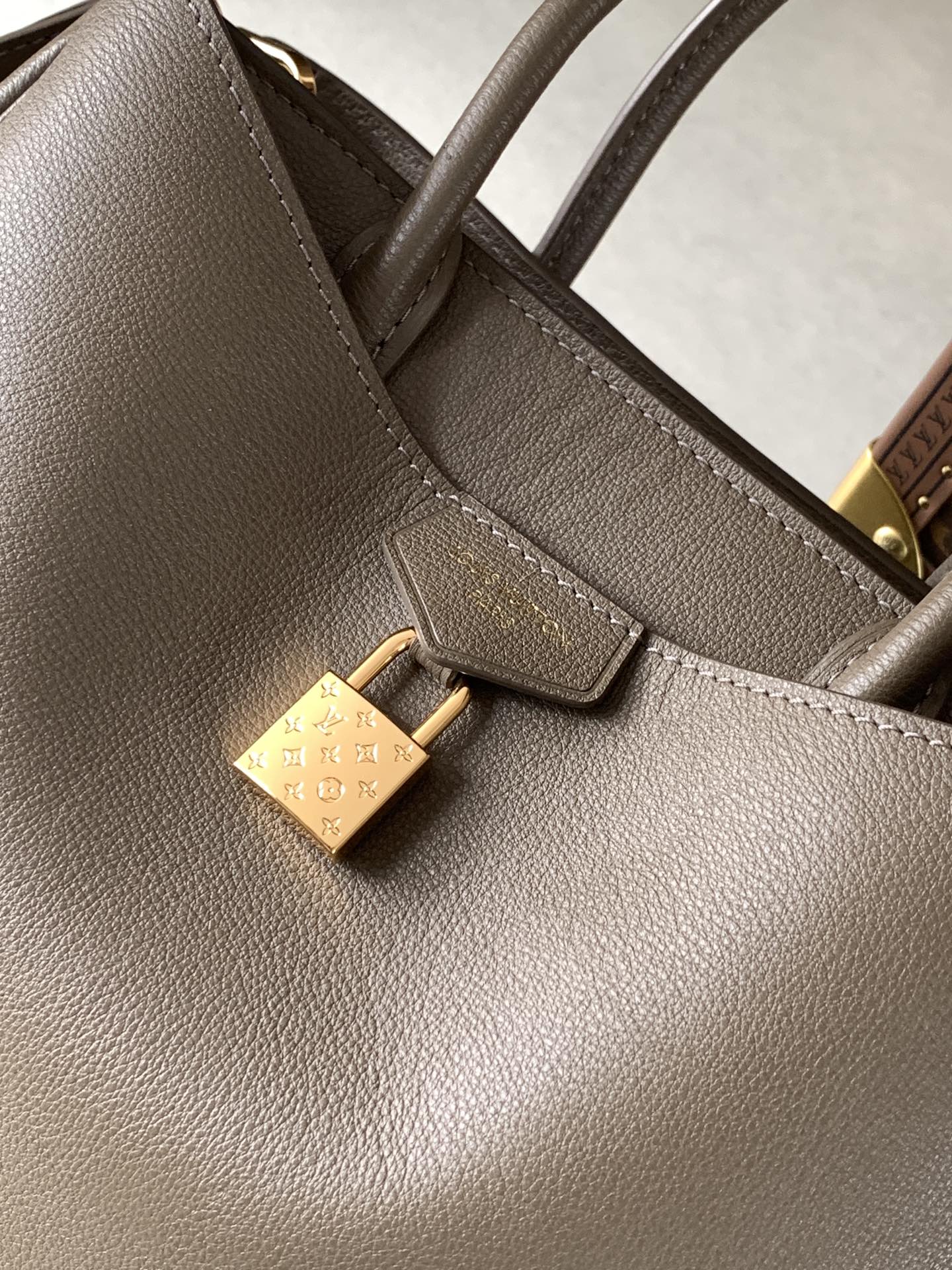 Louis Vuitton 小号 ，变码芯片