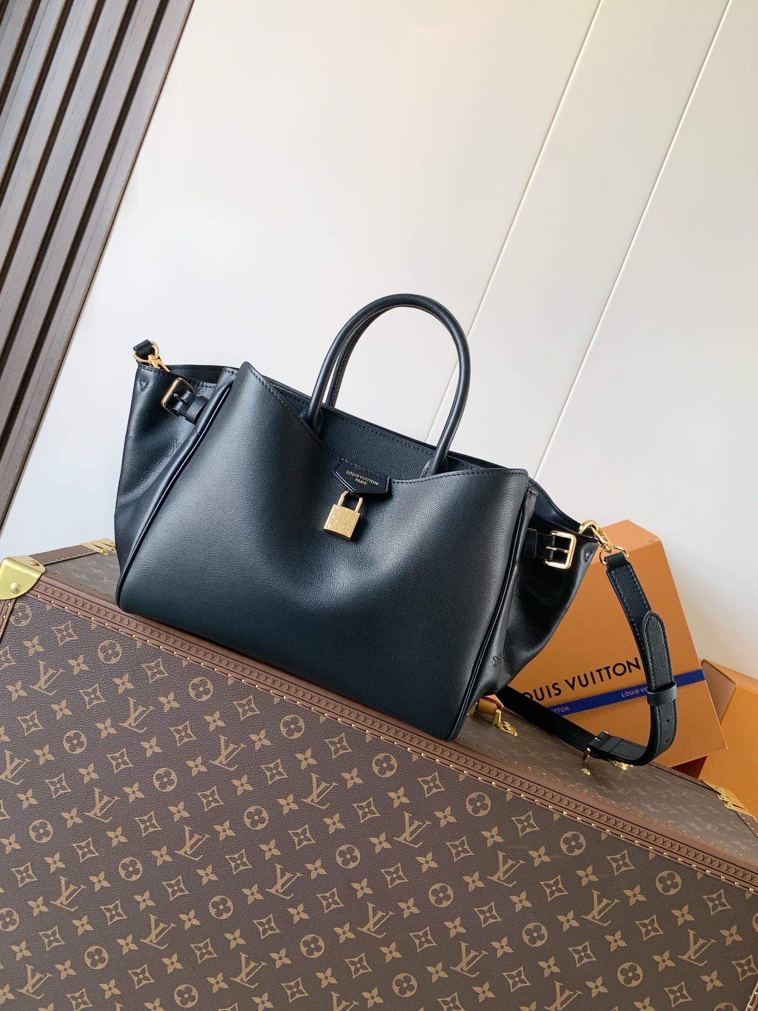 Louis Vuitton 小号 ，变码芯片