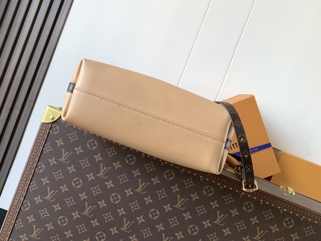 Louis Vuitton 变码芯片M28029