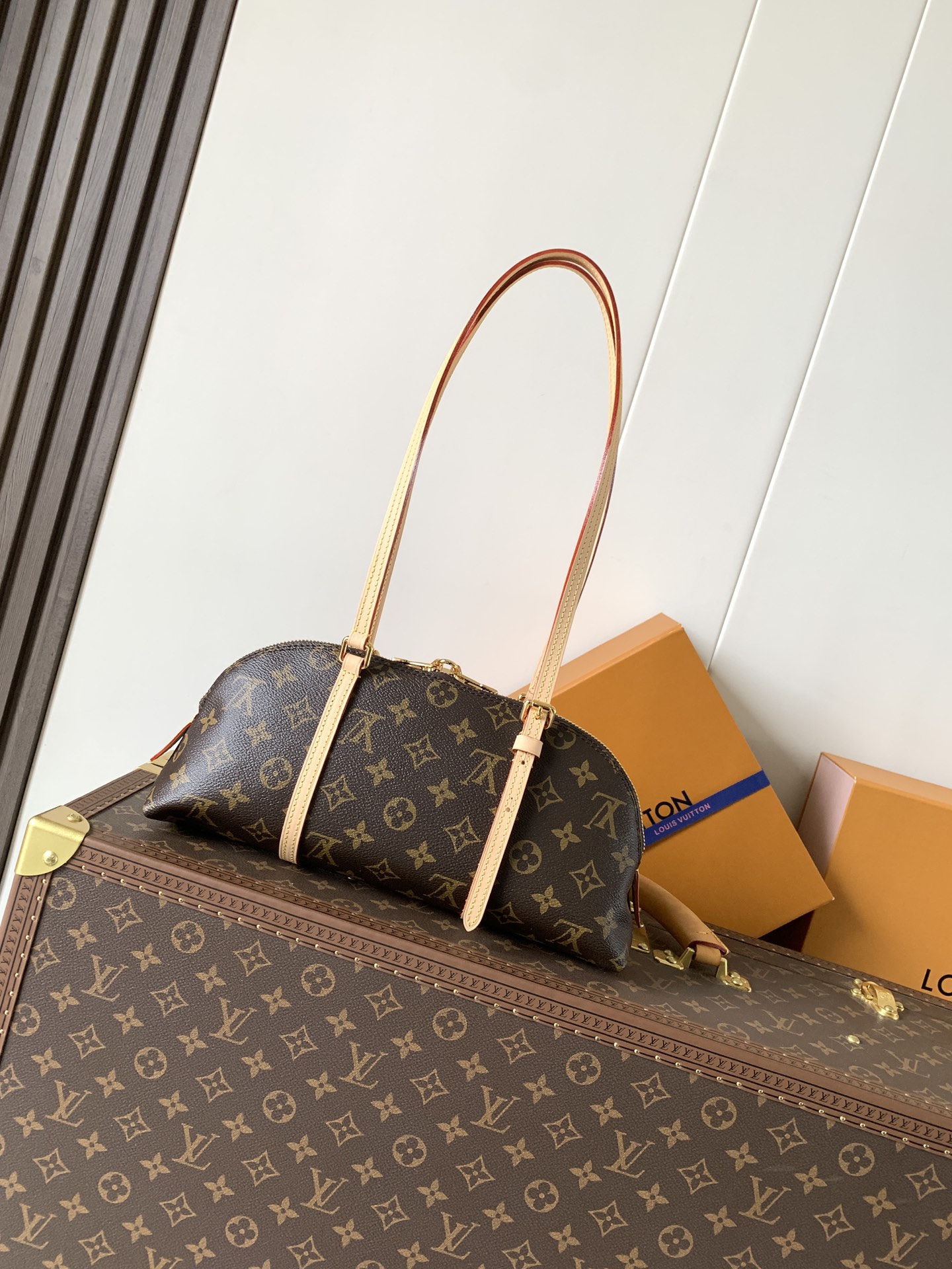 Louis Vuitton 变码芯片M28953