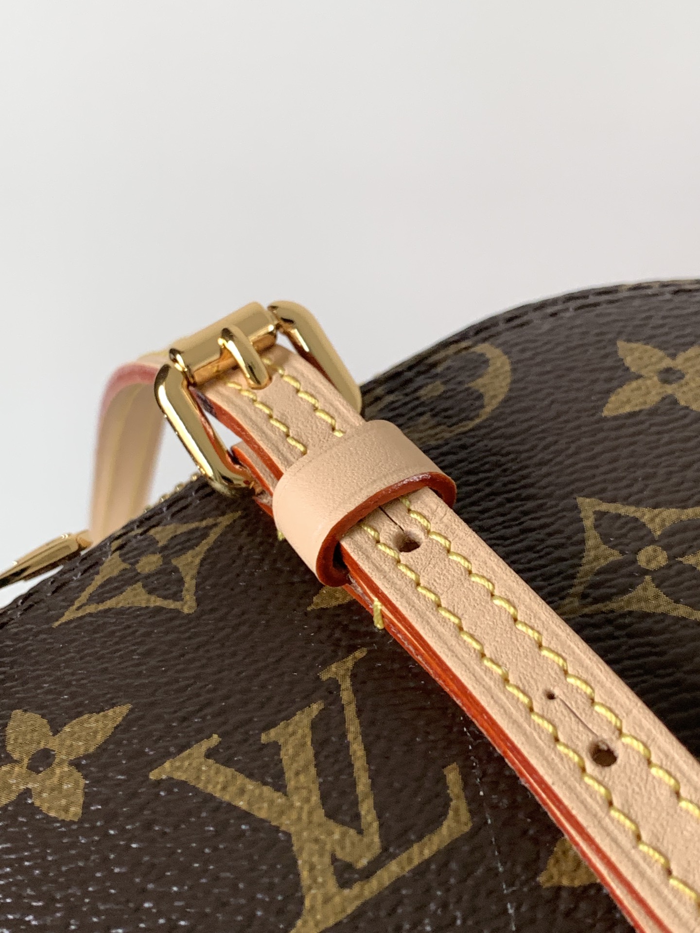 Louis Vuitton 变码芯片M28953