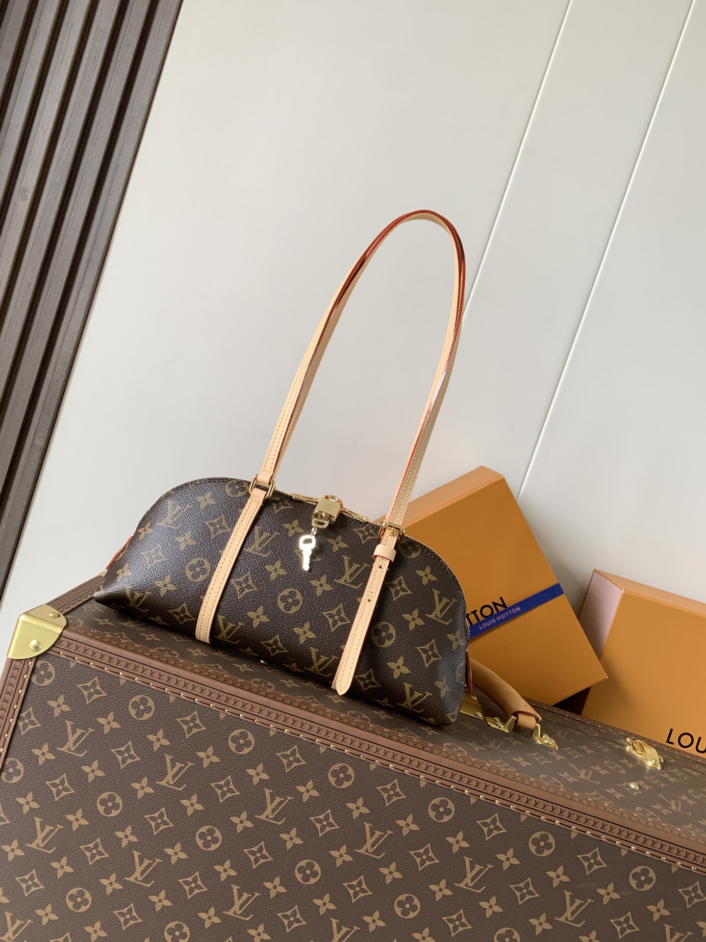 Louis Vuitton 变码芯片M28953