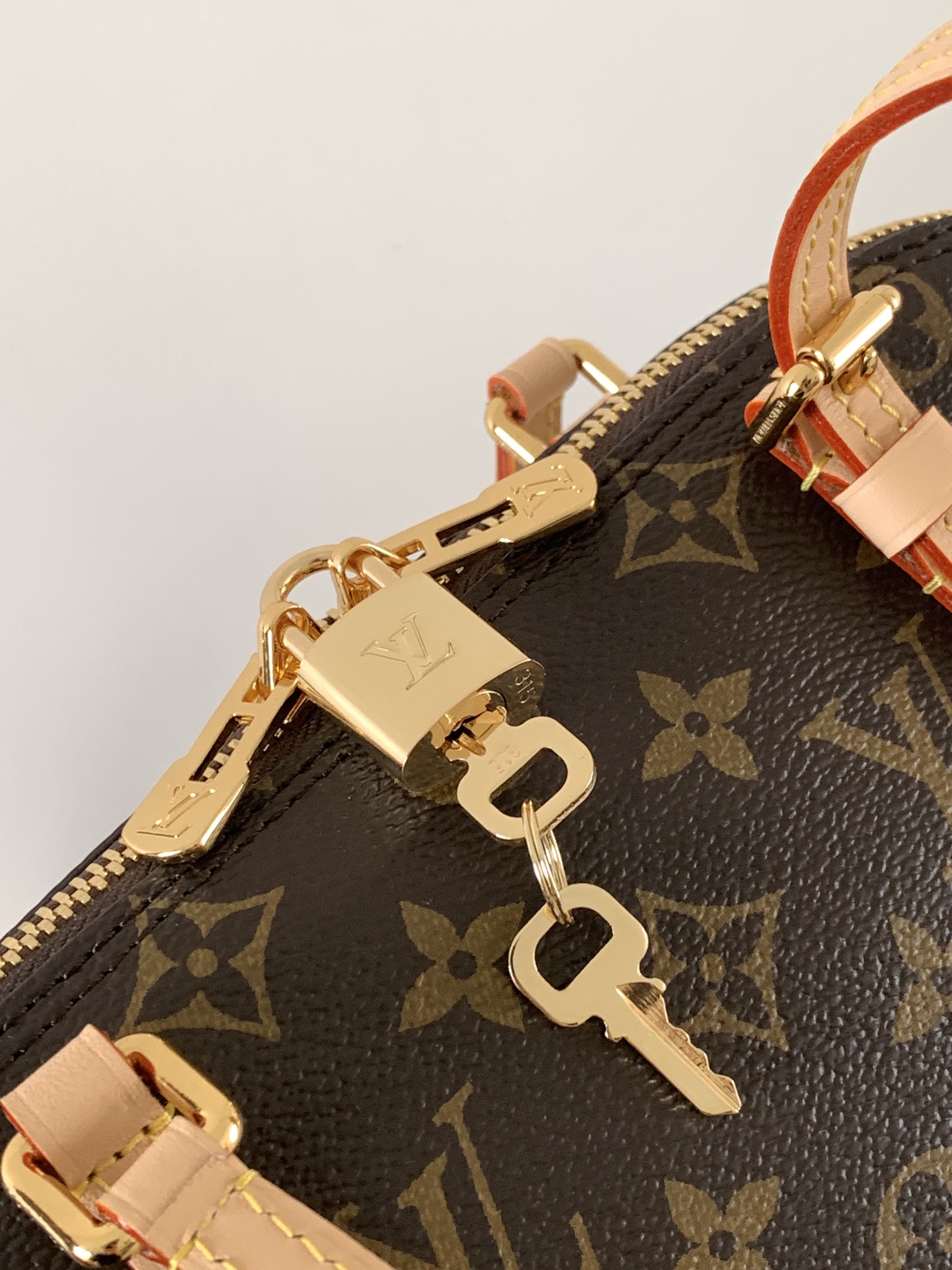 Louis Vuitton 变码芯片M28953