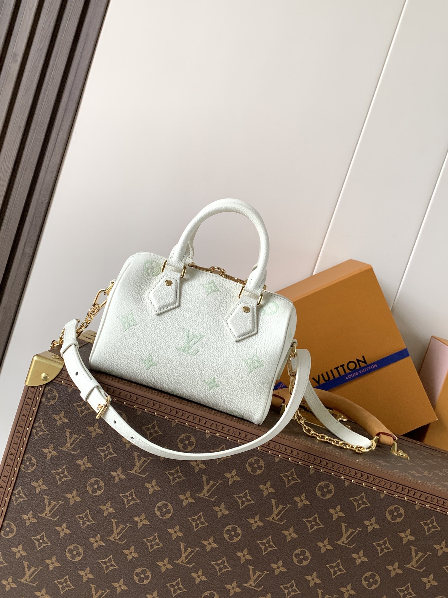 Louis Vuitton 這款Speedy Bandoulière 20以時尚的雙色配搭重新演繹 完美襯托各種造型