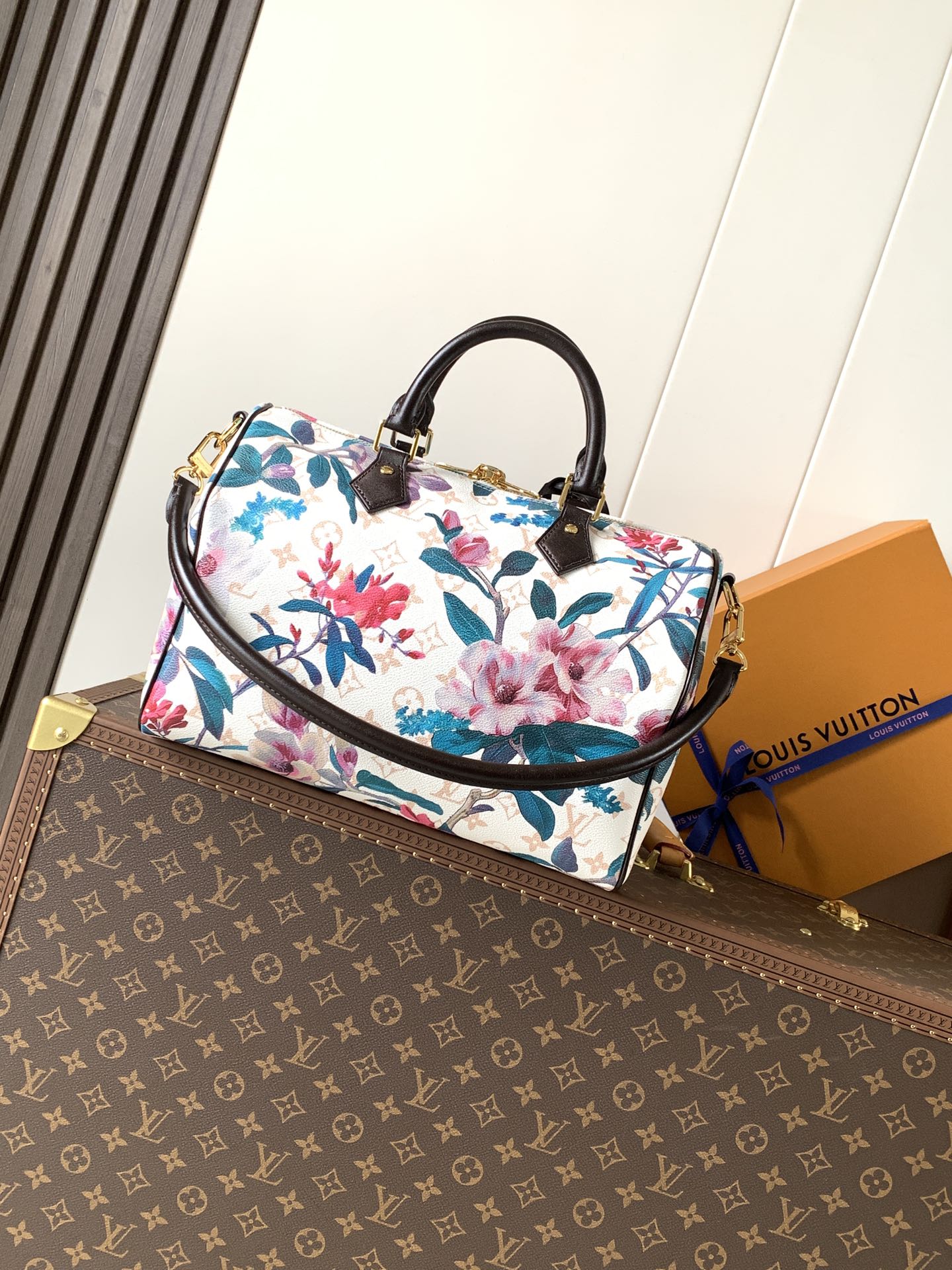 Louis Vuitton 变码芯片M29066印花