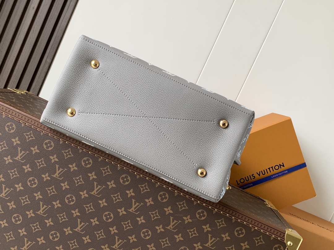 Louis Vuitton 变码芯片