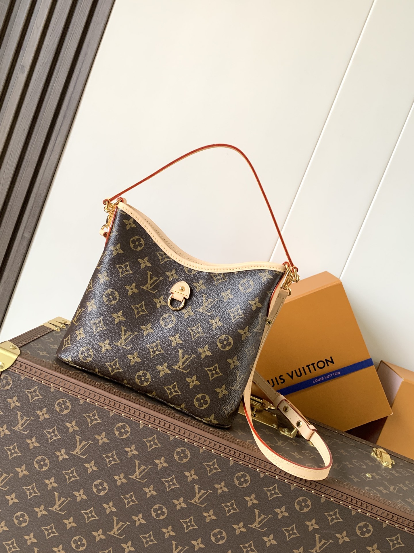 Louis Vuitton 变码芯片M28423