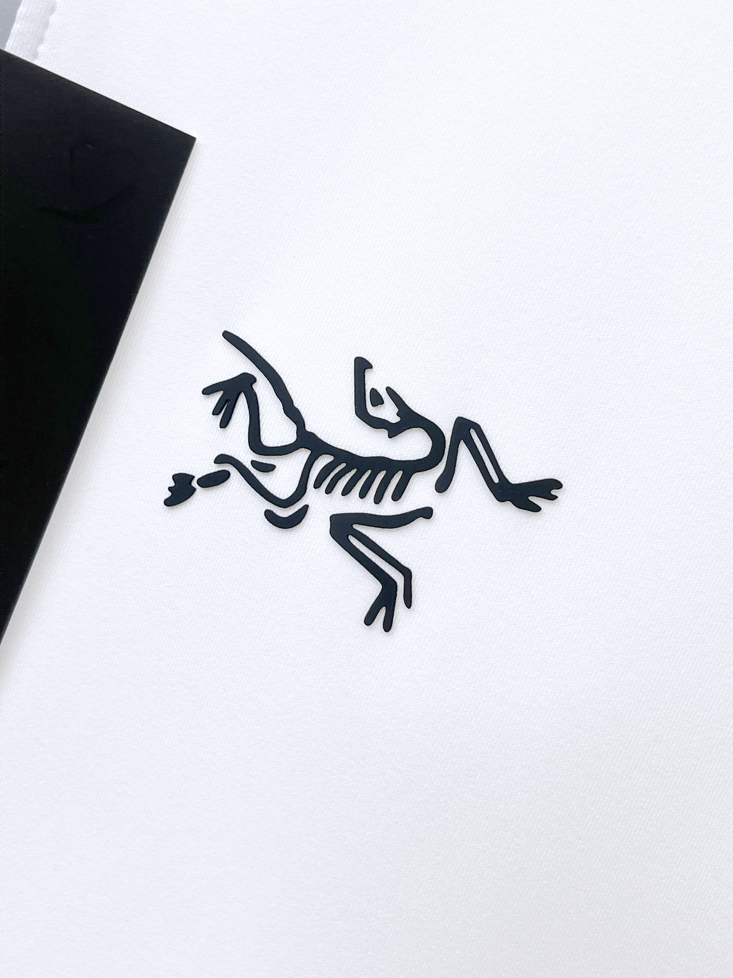 P始祖鸟25ss早秋【新品】圆领打底衫单穿卫衣爆款 超前卫设计风格 细腻舒适 穿着非常轻便不易起皱。多重