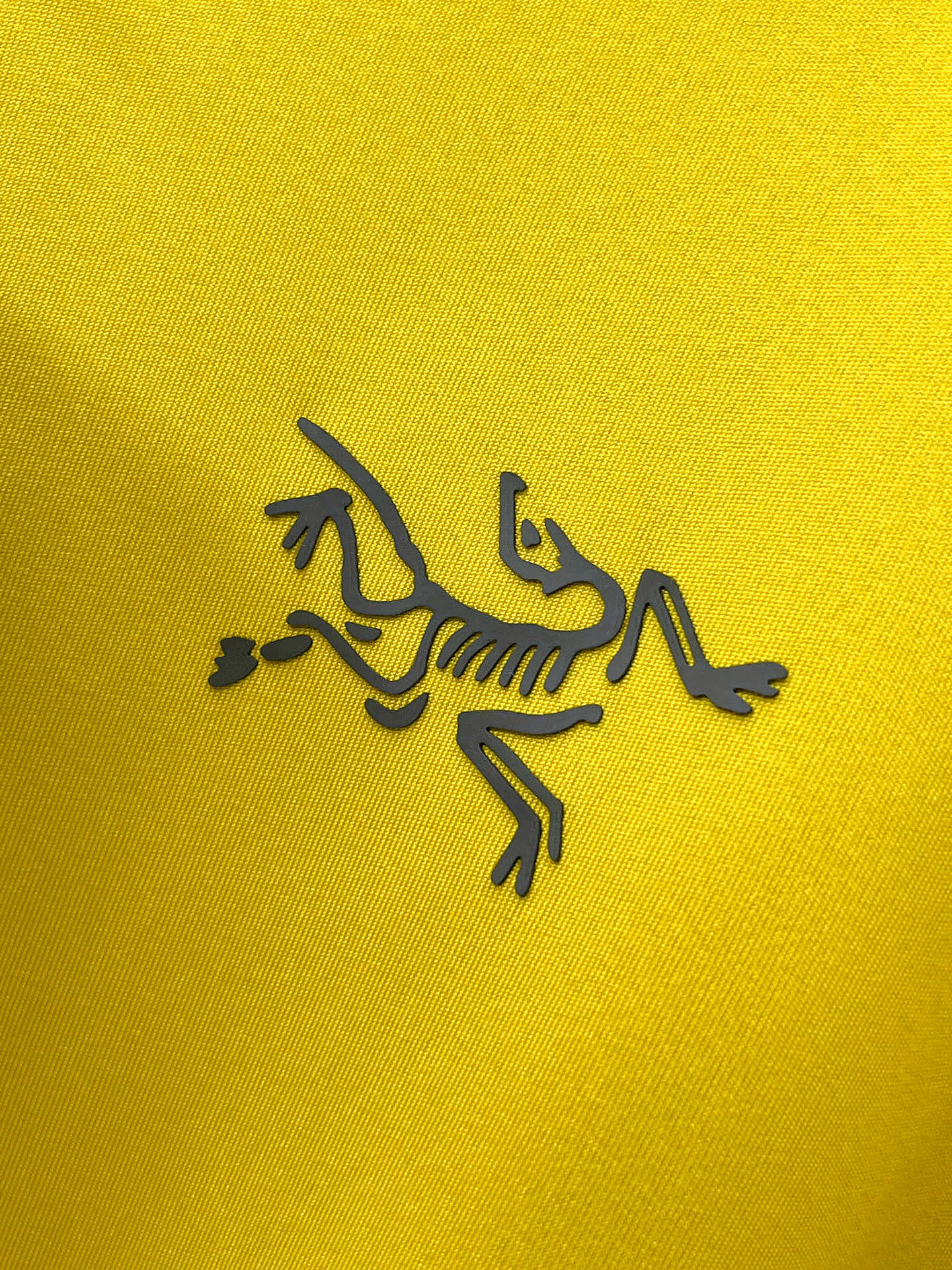 P始祖鸟25ss早秋【新品】圆领打底衫单穿卫衣爆款 超前卫设计风格 细腻舒适 穿着非常轻便不易起皱。多重