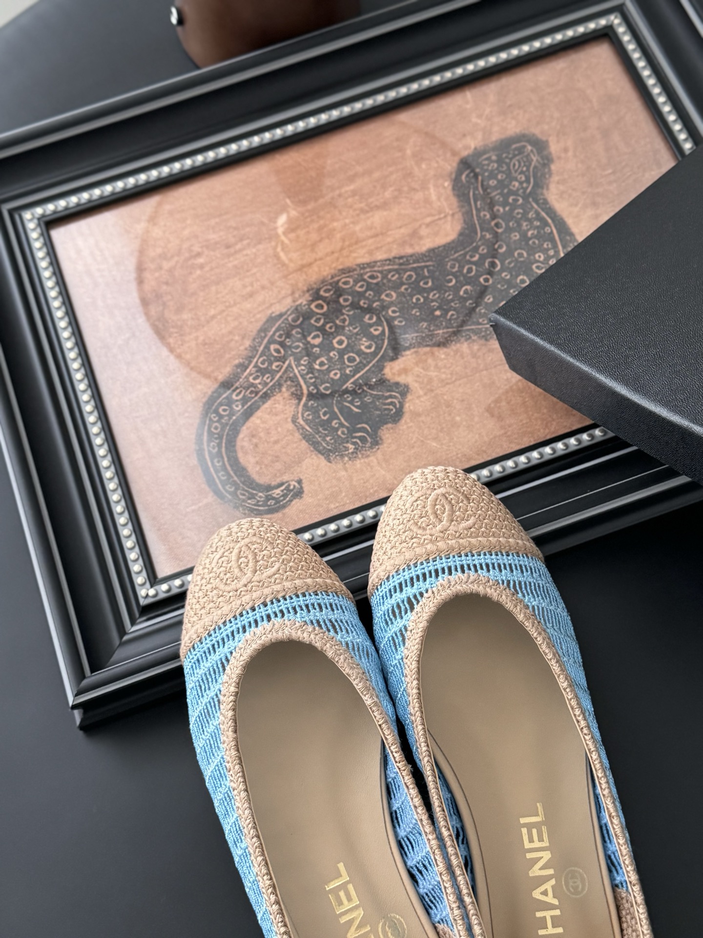 Chanel 25S New Color Ballet Flats Original 1:1 Replica, A Classic Must-Have 8 i1745569015467 3471 0 6