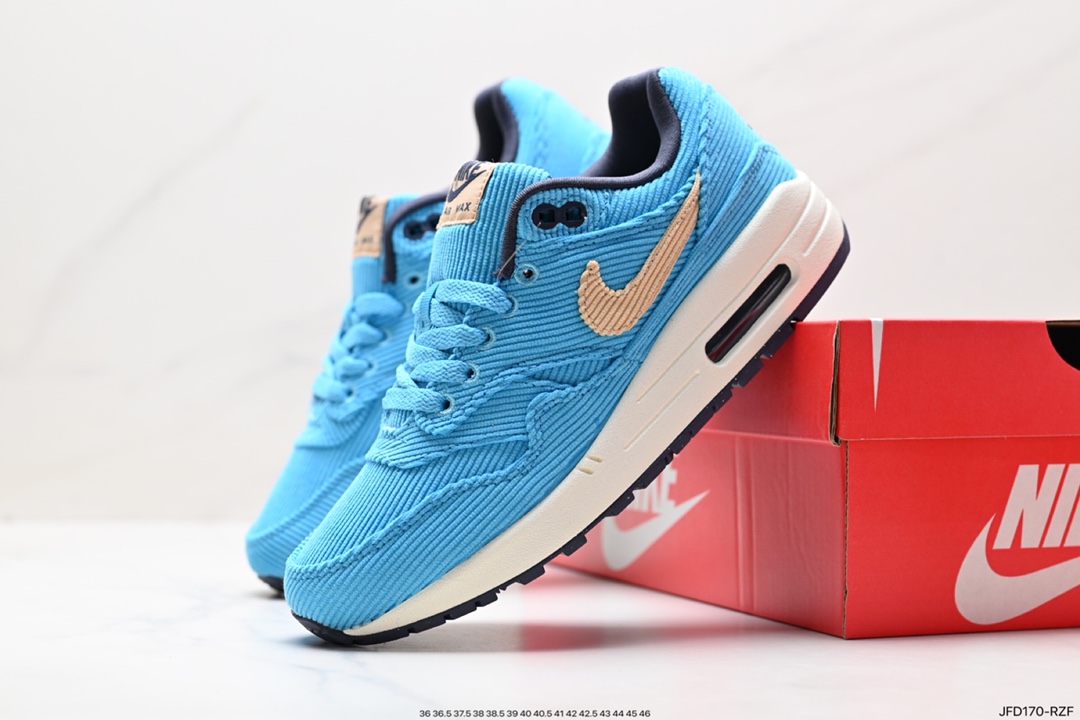 Nike Air Max 1 Air Max Air Cushion New Color DR0448-100