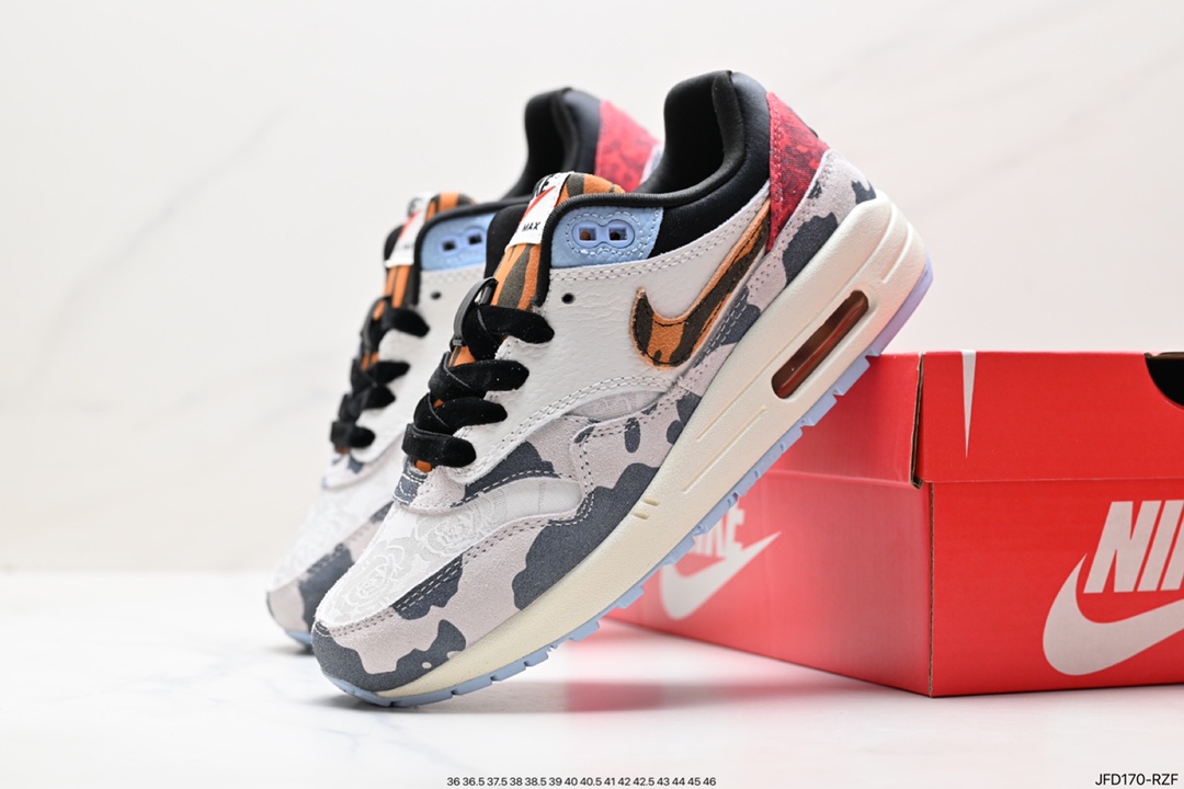 Nike Air Max 1 Air Max Air Cushion New Color DR0448-100