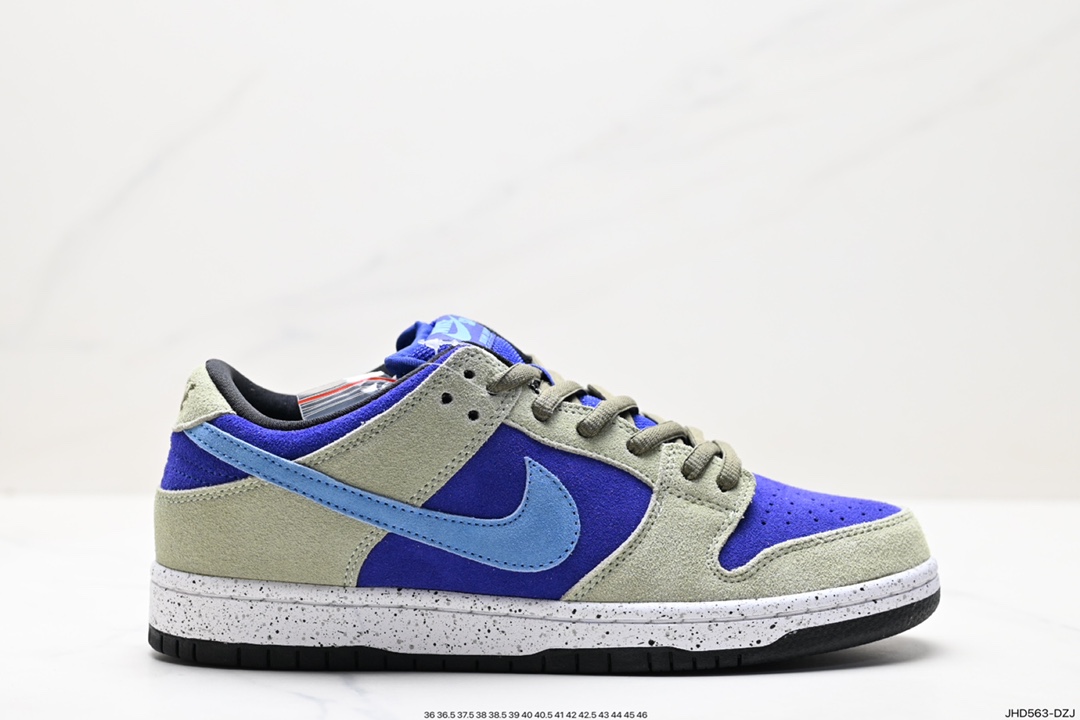 Nike SB Dunk Low Dunk Series Retro Low-top Casual Sports Skateboard Shoes 304292-050