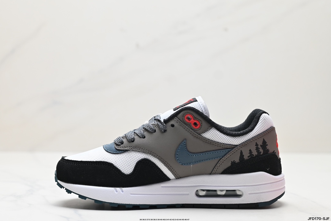 Nike Air Max 1 Air Max 气垫 FJ0698-100