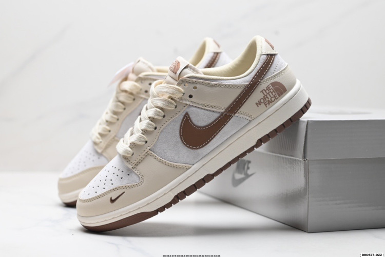 Nike Dunk Low Retro X The North Face - נעלי סניקרס לגברים ולנשים 1 Nike Dunk Low Retro X The North Face – נעלי סניקרס לגברים ולנשים