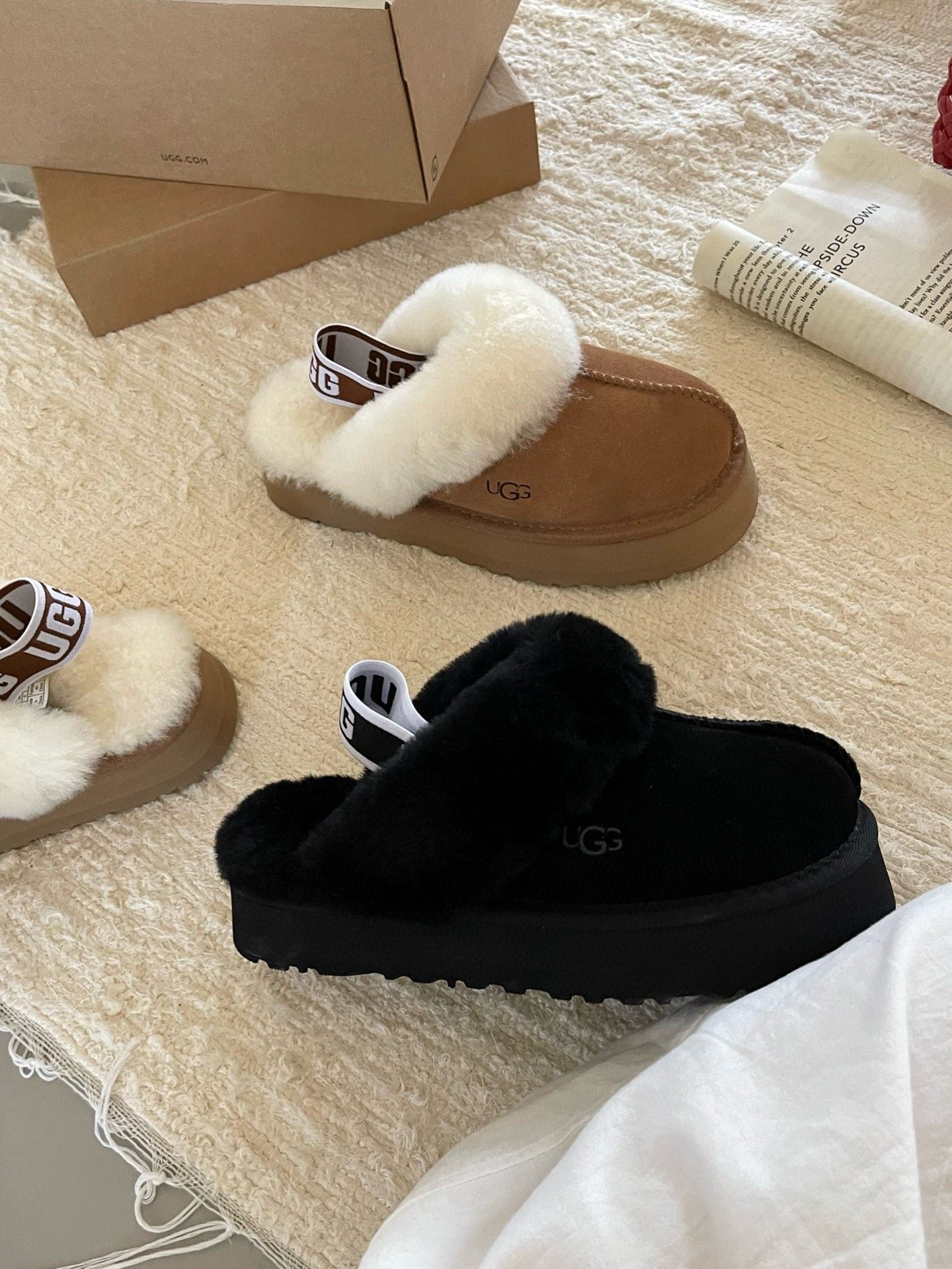秋冬🌵3cm厚底束带拖
明星/博主 春夏钟爱毛毛拖.～
Eva松糕鞋底、羊毛鞋面鞋垫脚
黑色，栗色两色

