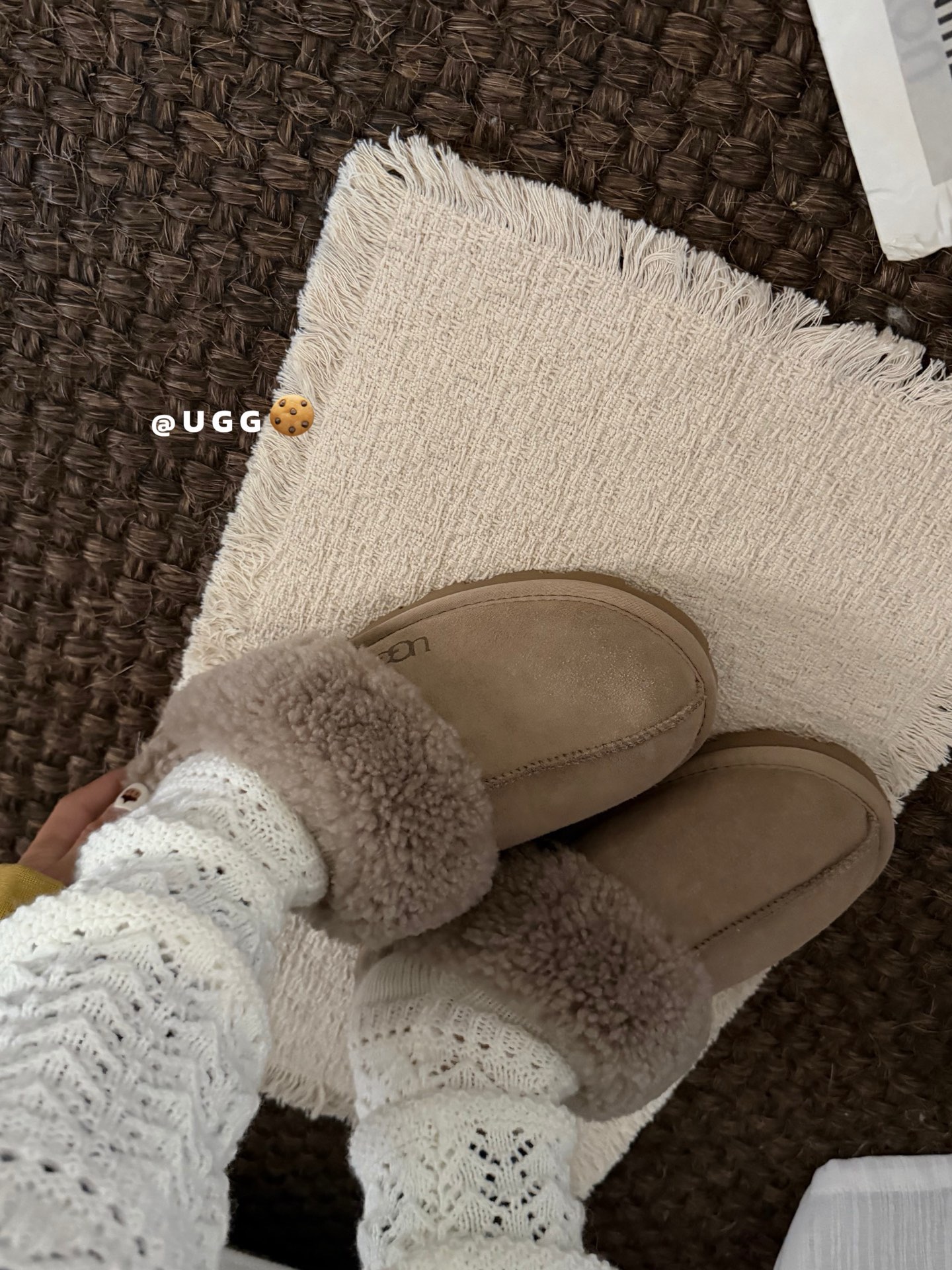 🔥UGG泰迪🐻毛毛星拖，三色，35-40码！