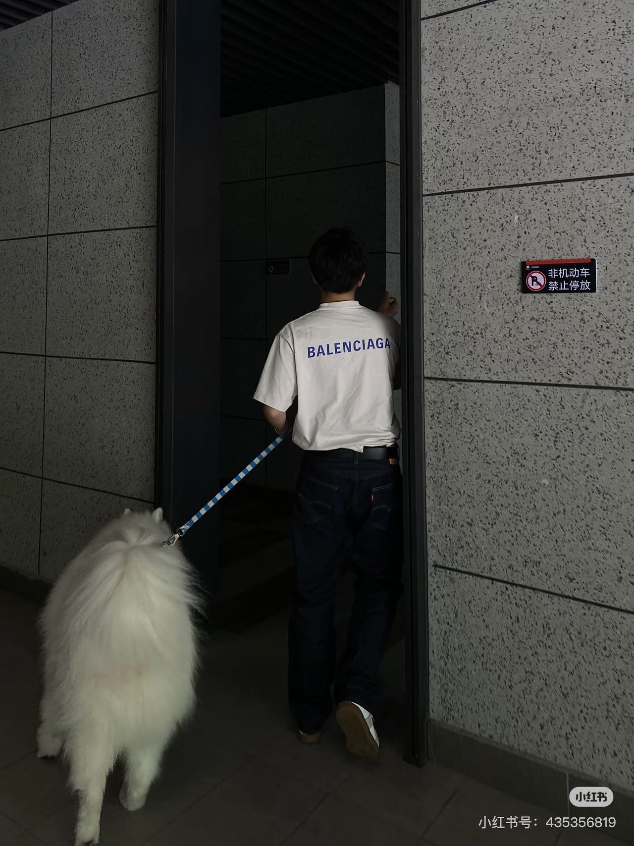 新款巴黎刺绣蓝字母 Balenciaga｜克莱因蓝前后刺绣字母T恤