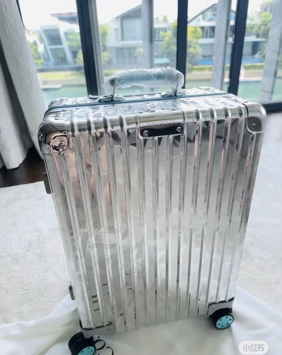 Luxury Boarding Container by Tiffany Rimova: American Consortium Money and High-End Features - 图片 2
